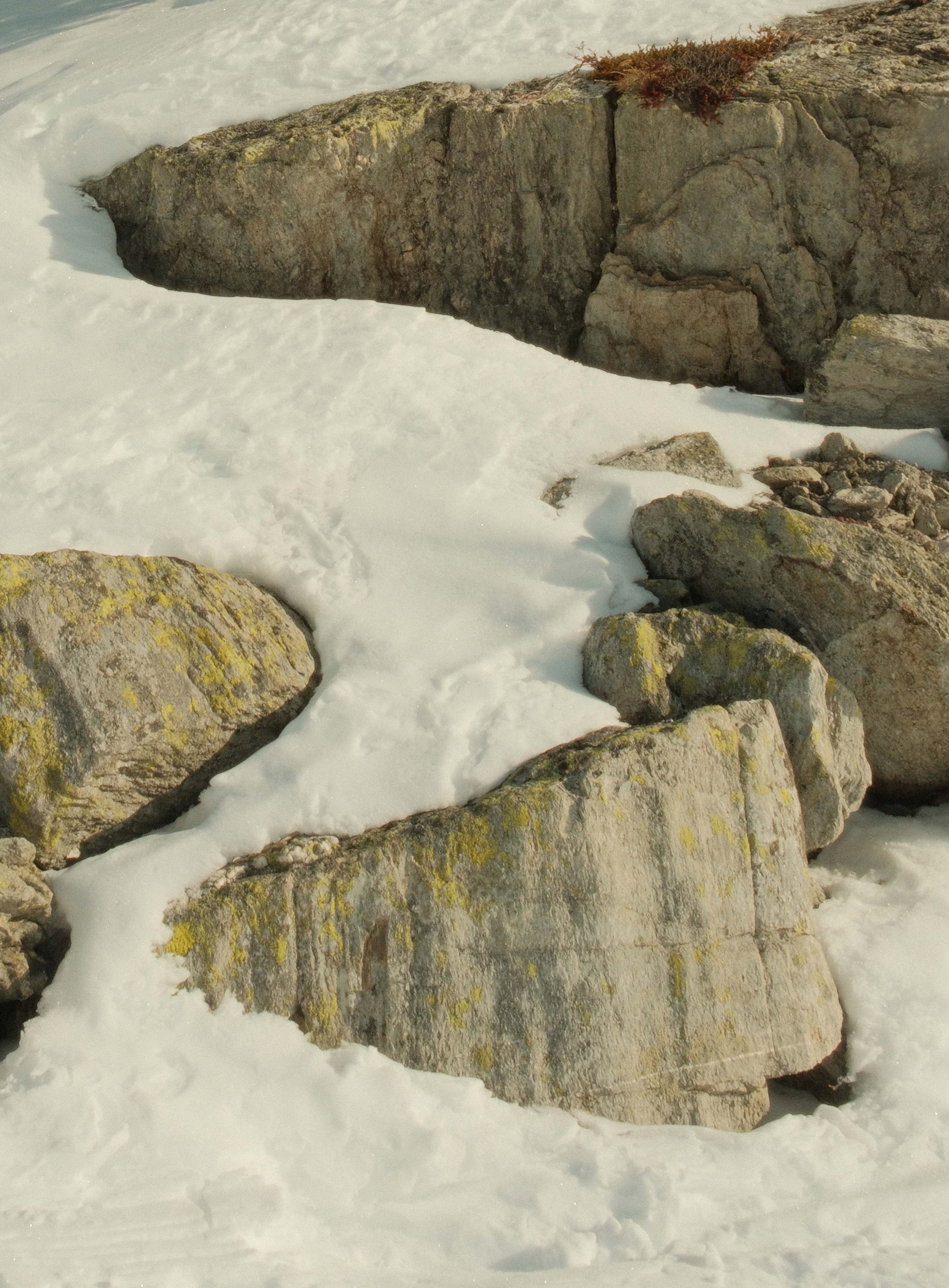 Snow Covered Rocks