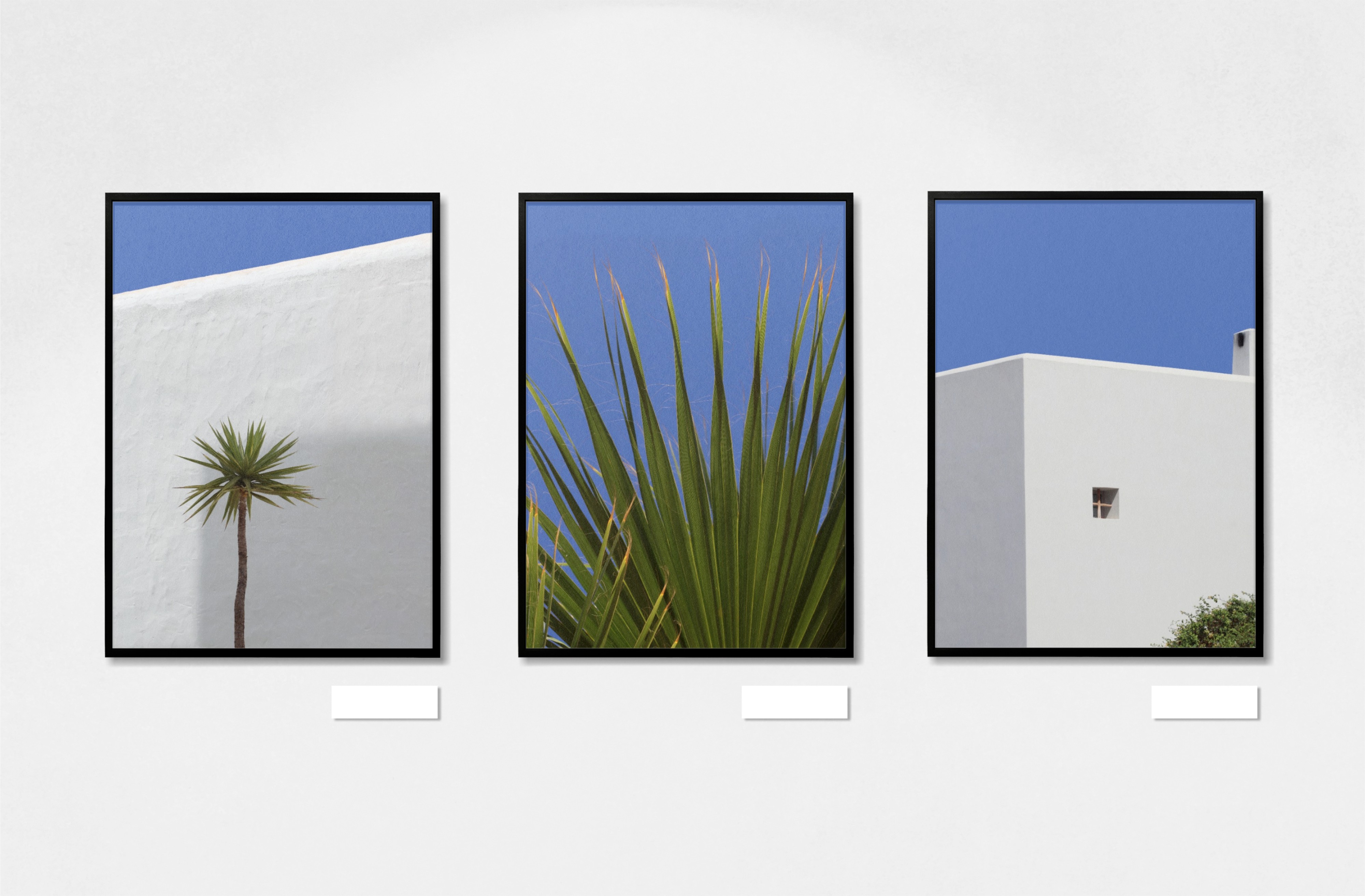 Three framed Mediterranean prints displayed as a triptych — palm tree, yucca fronds, and white architecture against blue sky