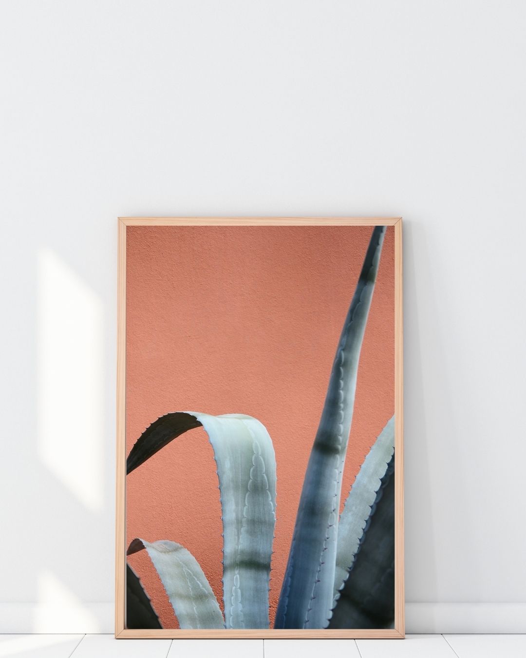 Agave - In situ