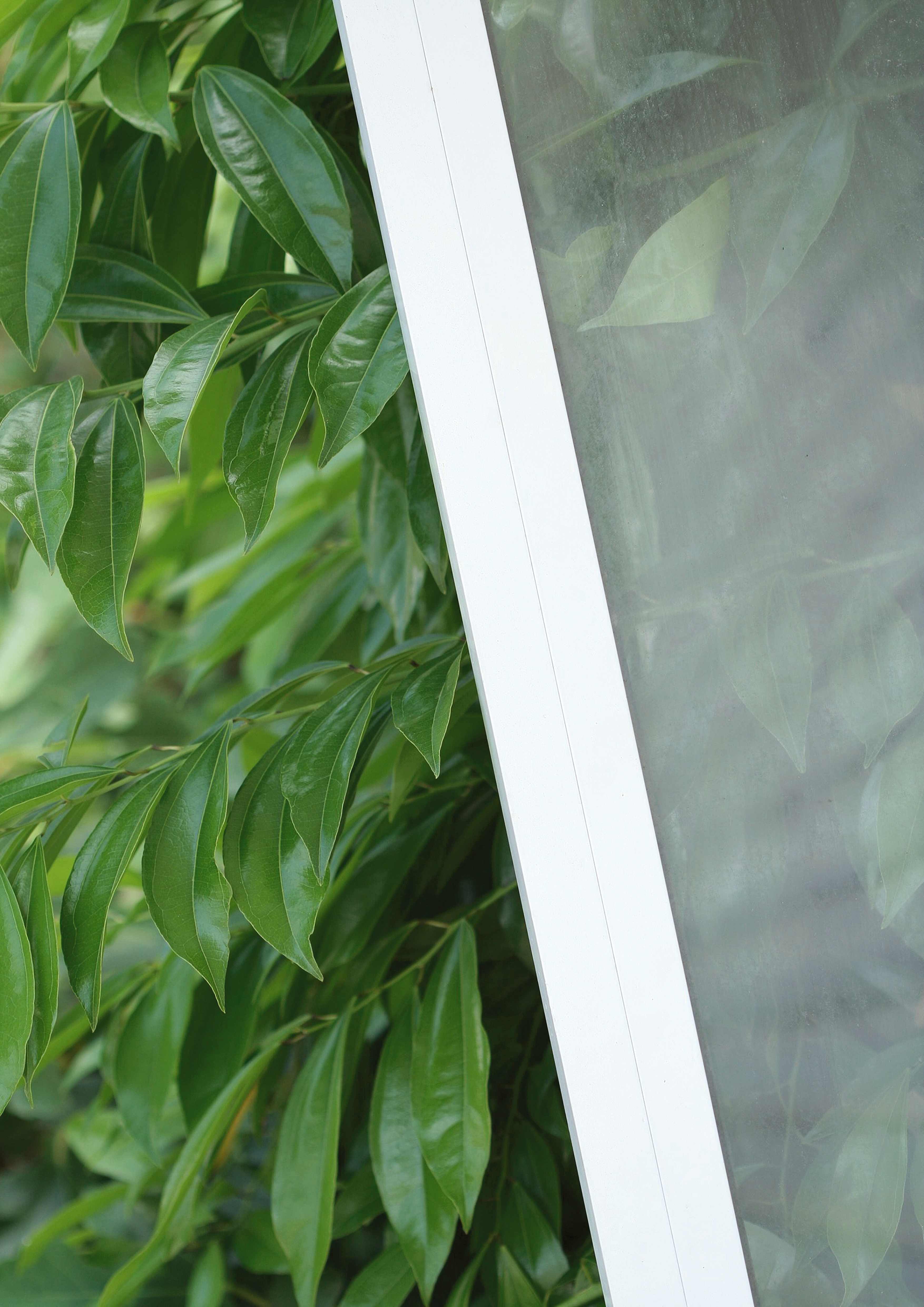 Frosted Glass - Artwork
