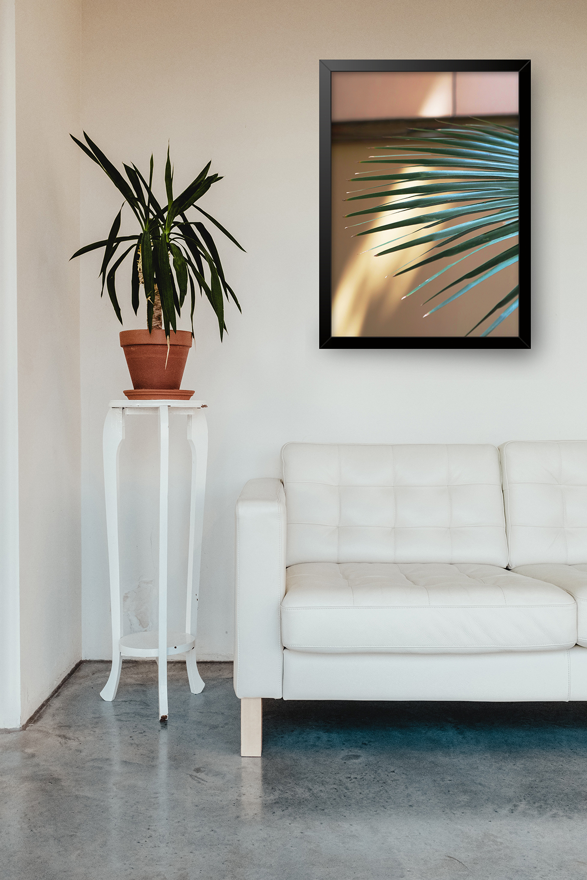 Palm Frond - In situ