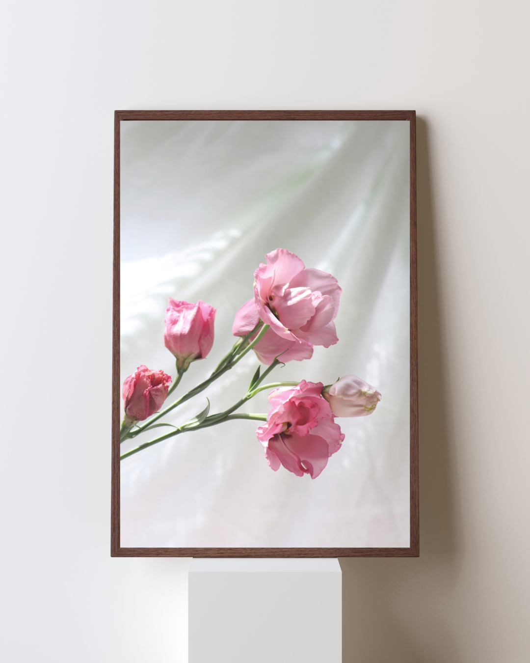 Posy - In situ