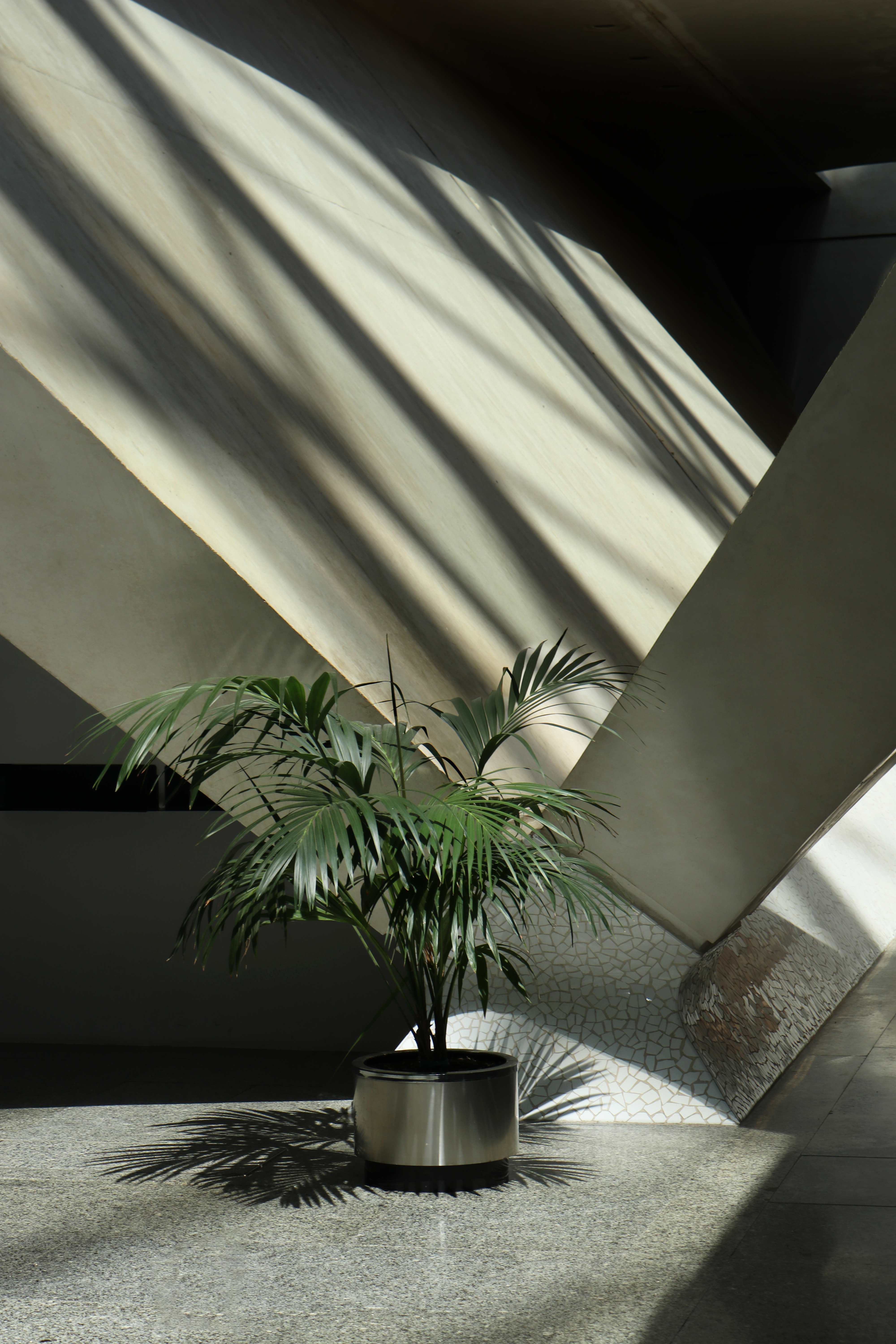 Geometric Beams