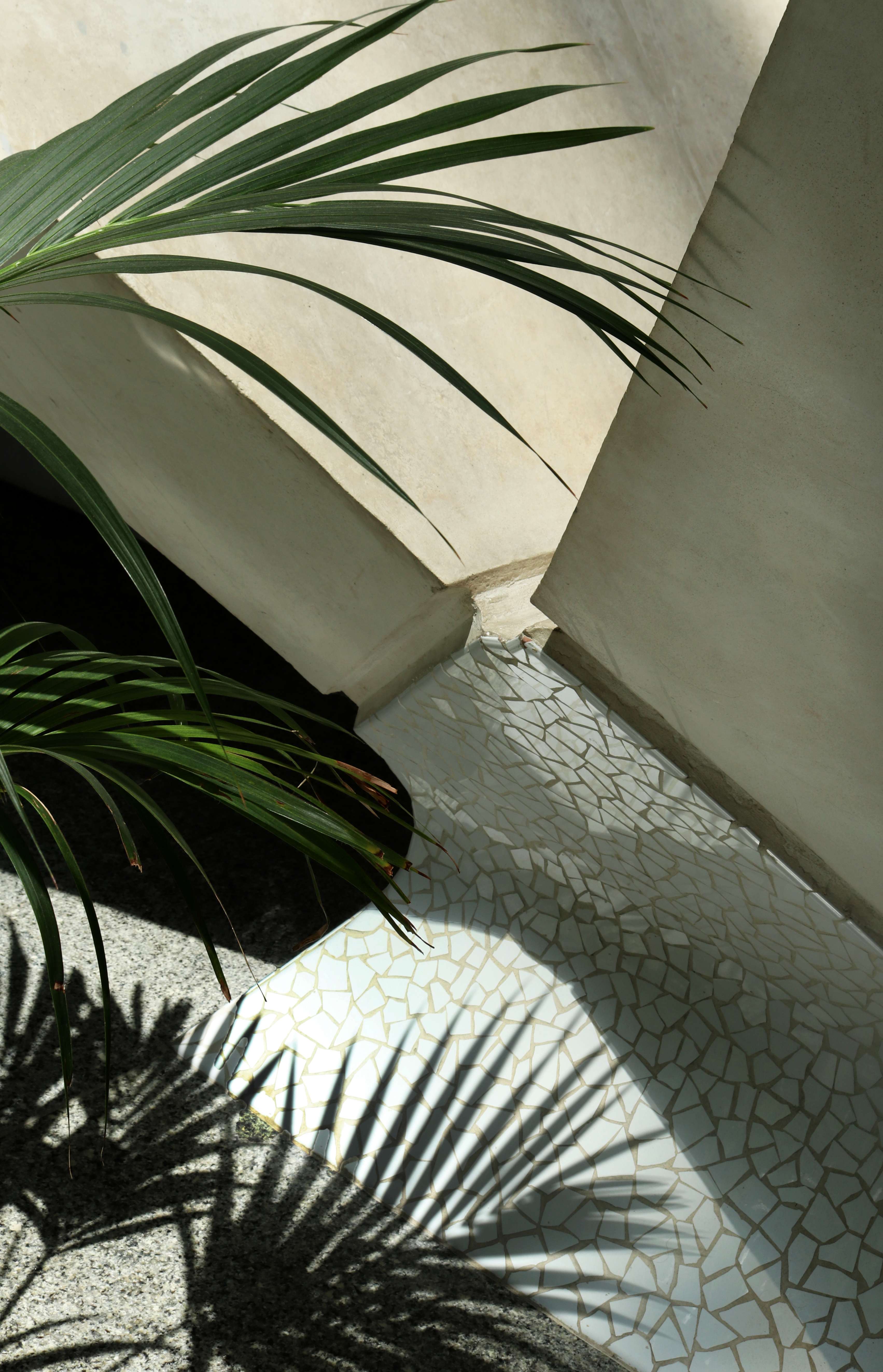 Mosaic Shadow