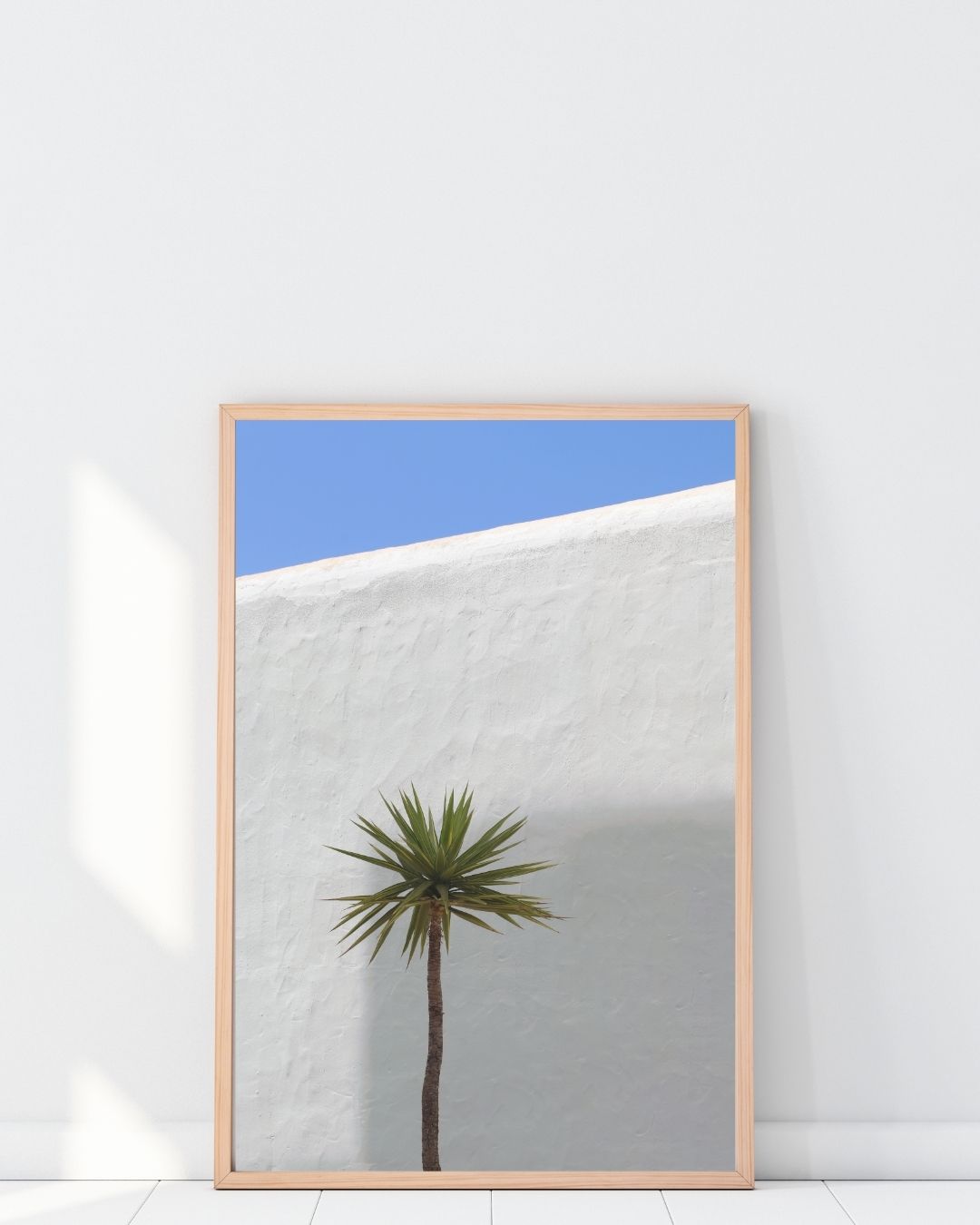 Palm and Wall - In situ