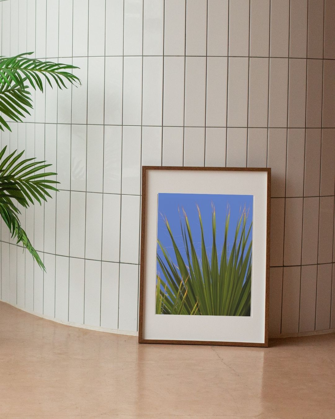 Yucca I - In situ